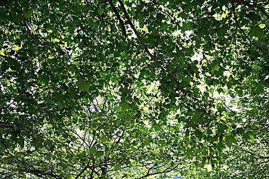 联想掌机可能意外泄露了《光环5》PC移植