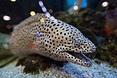 Xbox游戏发布会第二场宣布6月14日凌晨1点举行