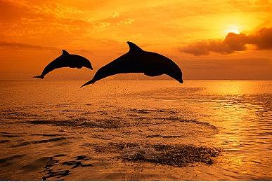 3DM速报：制售《原神》外挂被判四年，《模拟山羊3》就整活！